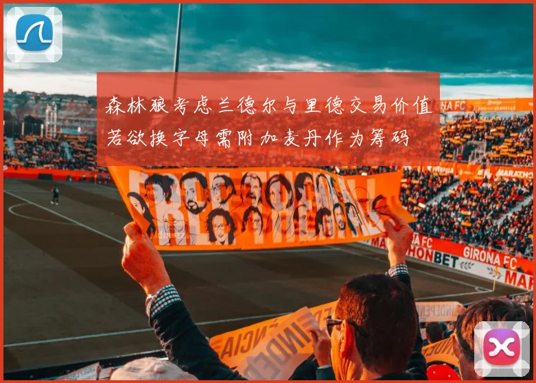 森林狼考虑兰德尔与里德交易价值若欲换字母需附加麦丹作为筹码