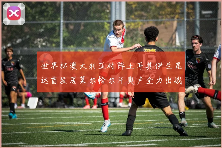 世界杯澳大利亚对阵土耳其伊兰昆达首发居莱尔恰尔汗奥卢全力出战